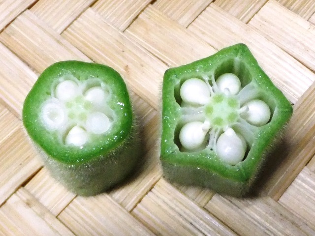 423.6.7◆サラダ さくら丸 オクラ 20粒 エディブル フラワー 花おくら◆トライ 家庭菜園 密植栽培 プランター菜園◆自然菜園 野菜種苗 販売拍卖
