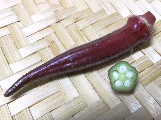 423.6.10◆サラダ さくら赤丸 オクラ 20粒 エディブル フラワー 花おくら◆トライ 家庭菜園 密植栽培 プランター 菜園◆自然菜園 野菜 種苗拍卖