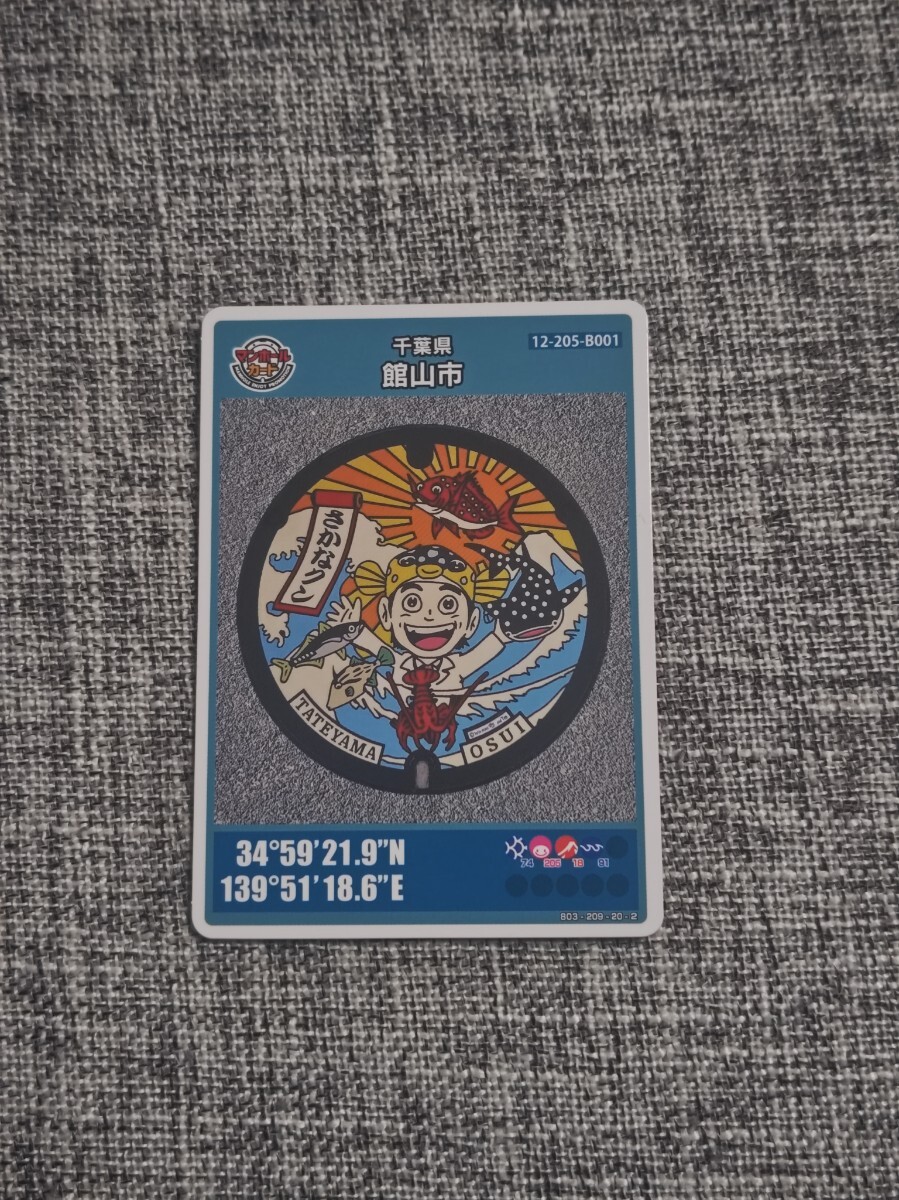 館山市 マンホールカード 12-205-B001拍卖