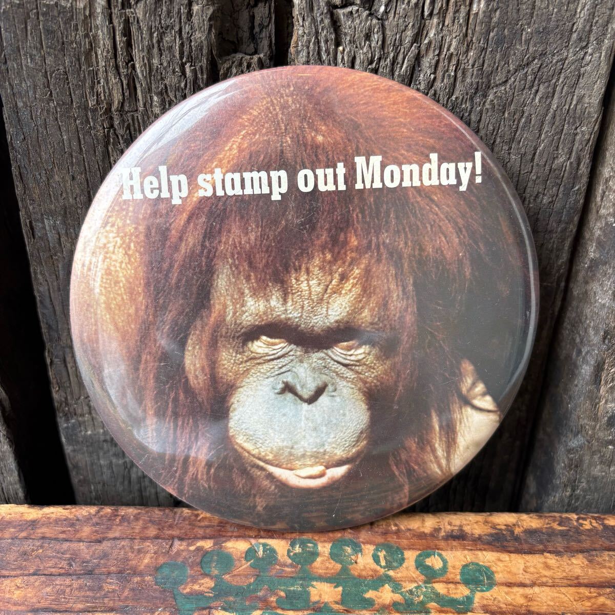 【USA vintage】PINBACK BUTTON orang utan 缶バッジ ビッグサイズ オランウータン アメリカ ビンテージ 拍卖