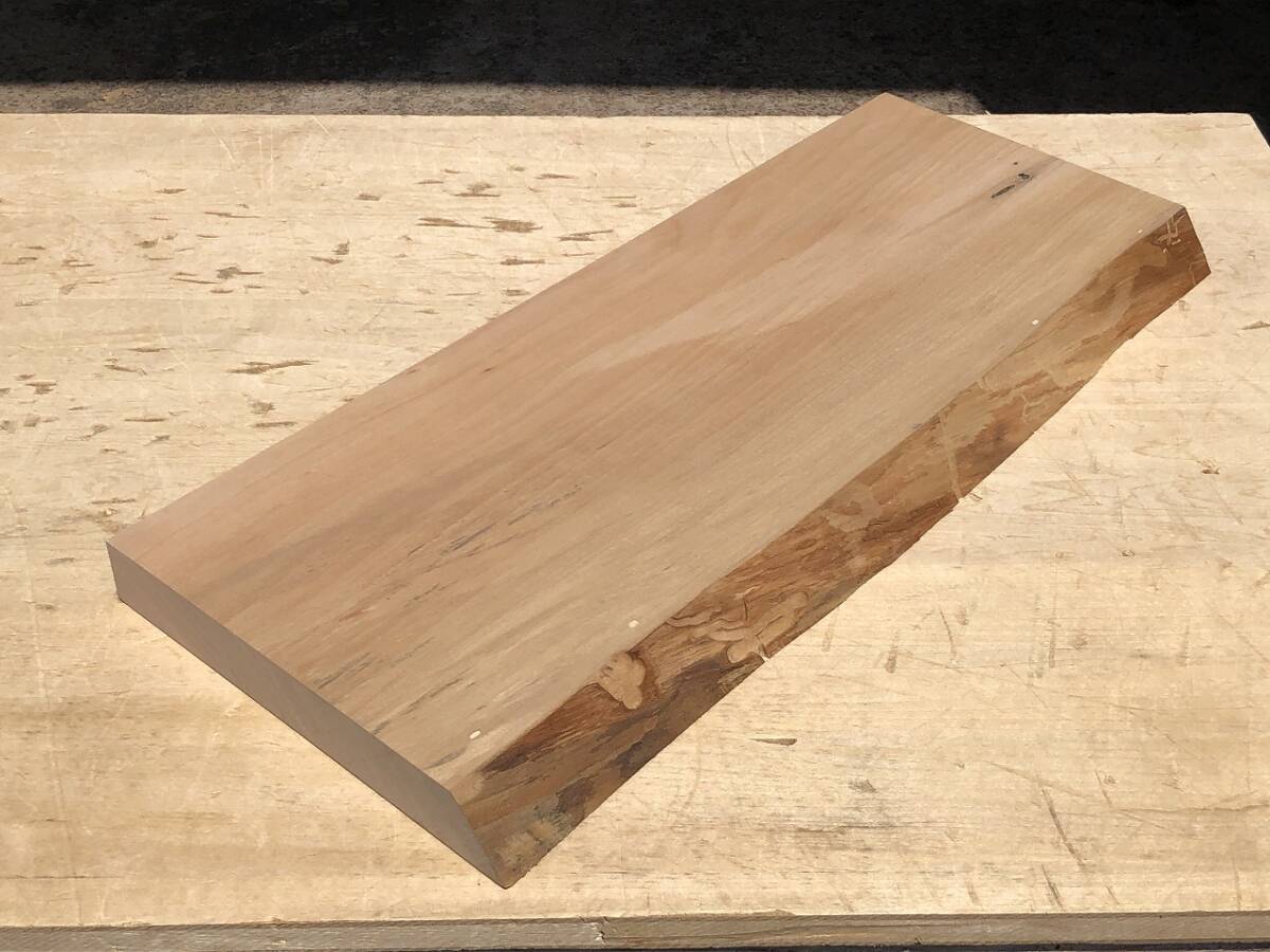 送料無料!樺【Y280E】509×200~215×30mm カバ スポルテッド クラフト 乾燥材 木工 DIY 材木 木材 天然木 無垢材《銘木すずめや》拍卖