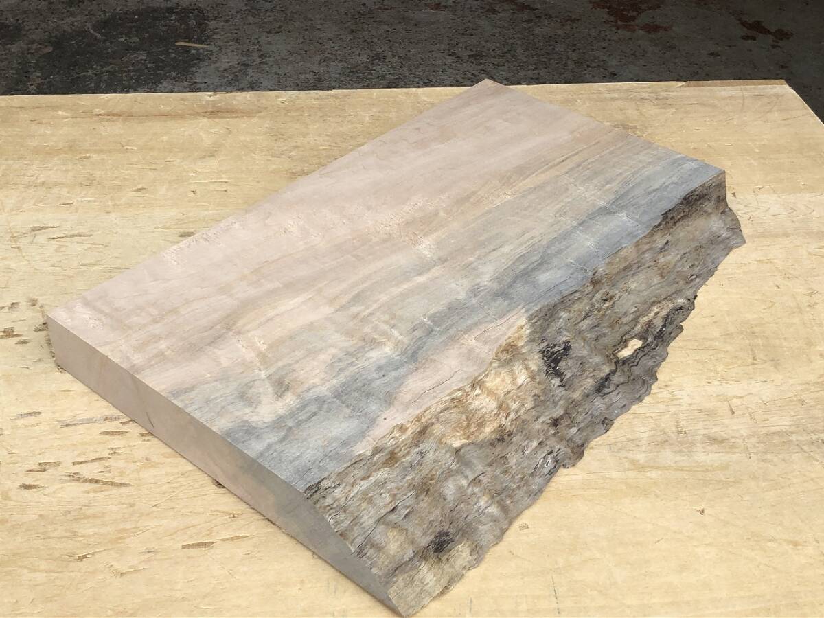 送料無料!四手【Y444F】392×217~260×35mm シデ 杢 クラフト ブルーステイン DIY 材木 木材 乾燥材 天然木 無垢材《銘木すずめや》拍卖