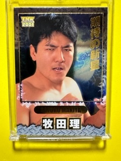FMW プロレスカード2001 スペシャルカード S-020 牧田理 A拍卖