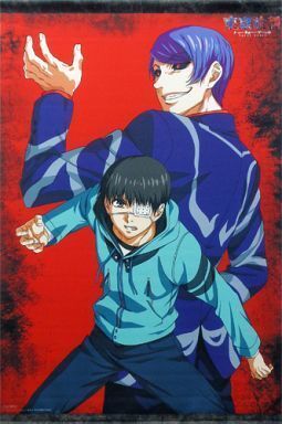 金木研 月山習 描き下ろし B2 タペストリー Blu-ray DVD 東京喰種 トーキョーグール とらのあな 全巻購入特典拍卖