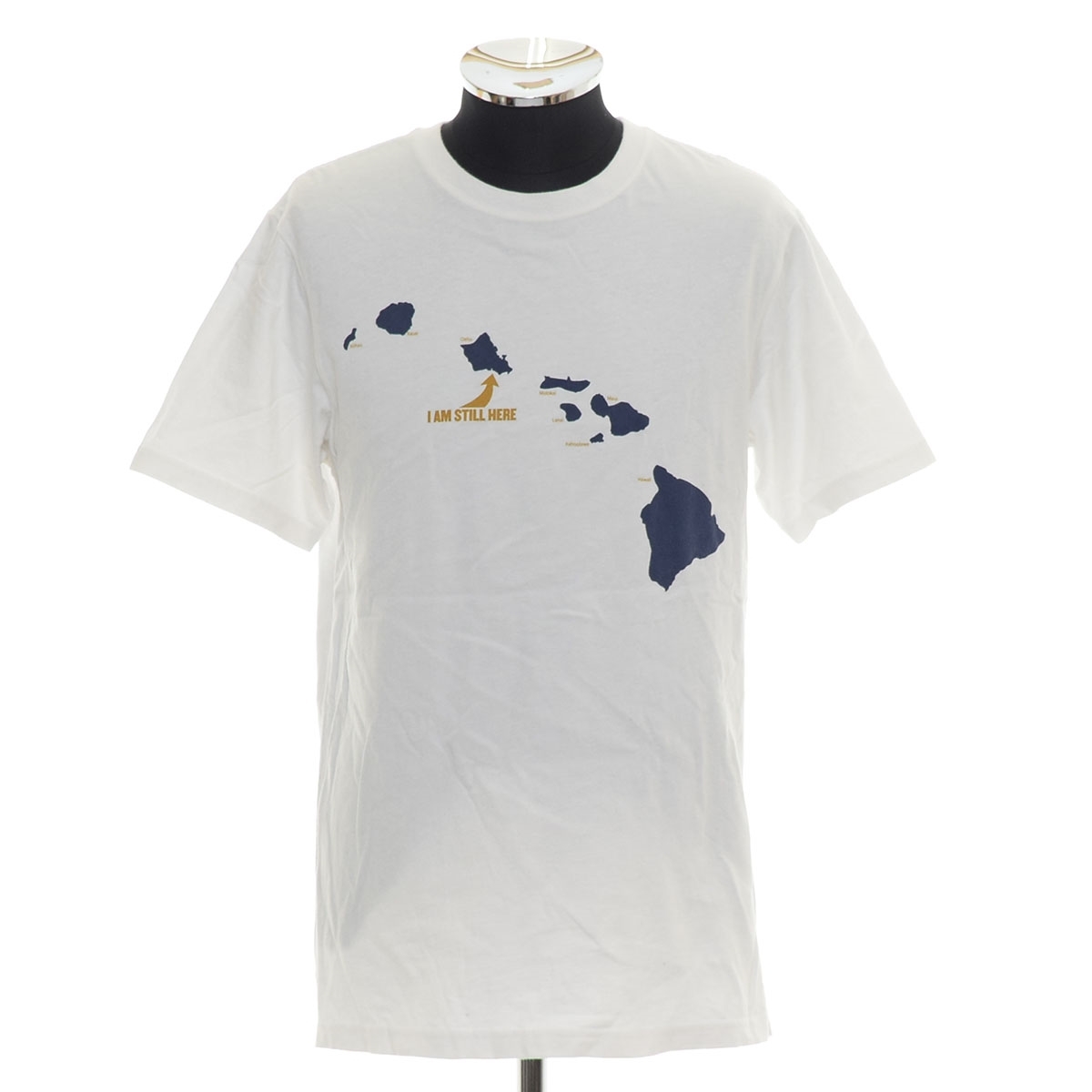 ●543796 Patagonia パタゴニア ●Tシャツ 半袖 I AM STILL HERE サイズS メンズ USA製 ホワイト拍卖