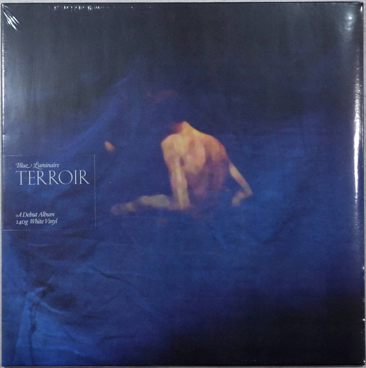 ◆BLUE LUMINAIRE/TERROIR (EU LP/Sealed)拍卖