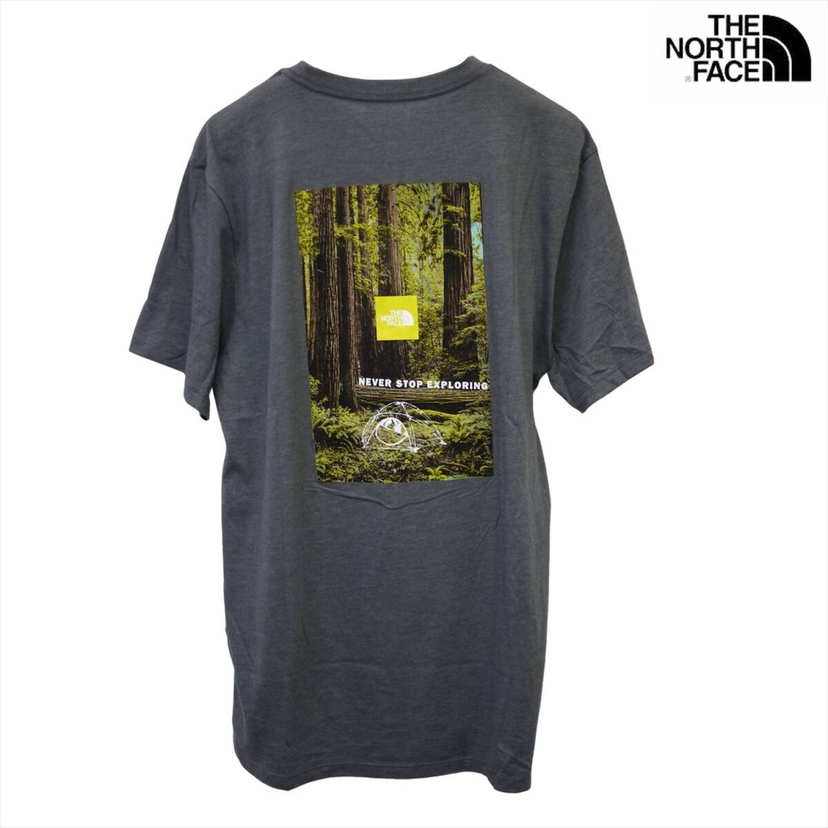 USA限定新品 ノースフェイス ハーフドーム ボックス ロゴ 半袖Tシャツ (L) ミディアムグレー THE NORTH FACE 日本未発売 /ba85拍卖