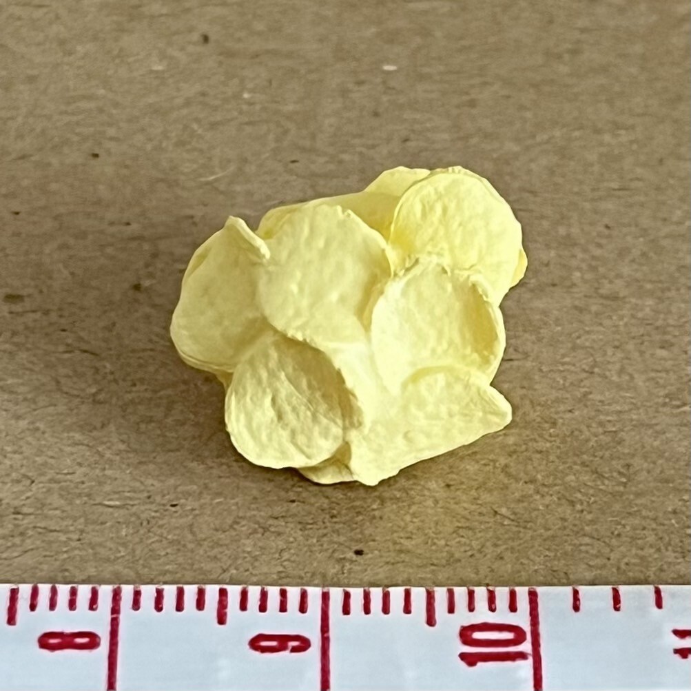 ポテトチップス ミニチュア品 リーメント わくわくお誕生日会 ぷちサンプル拍卖