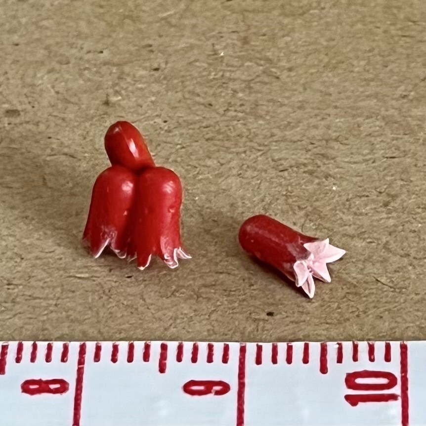 タコウインナー ミニチュア品 リーメント わくわくお誕生日会 ぷちサンプル拍卖