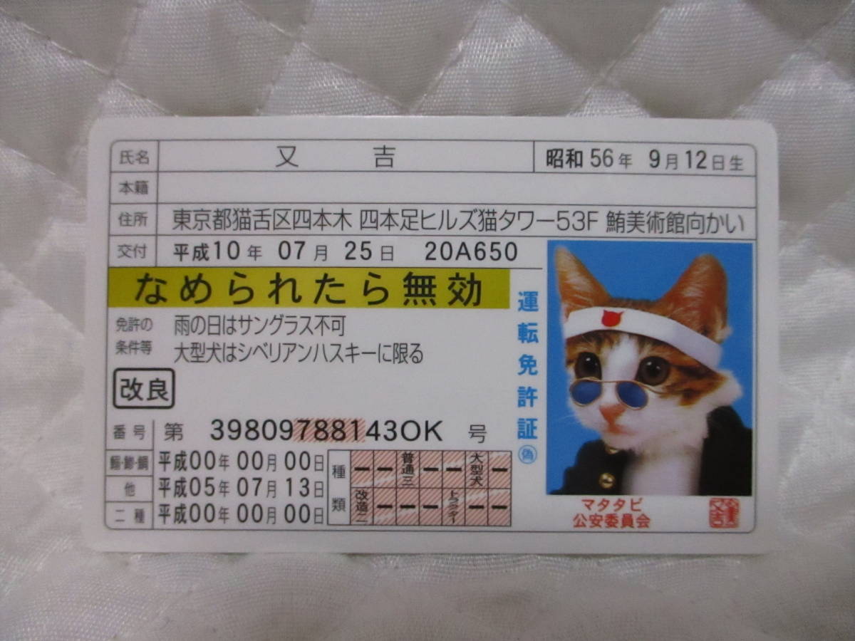 【 なめ猫 又吉 】 免許証 なめられたら無効 ゴールド 新品 即決 なめんなよ★ なめ猫同梱検索拍卖