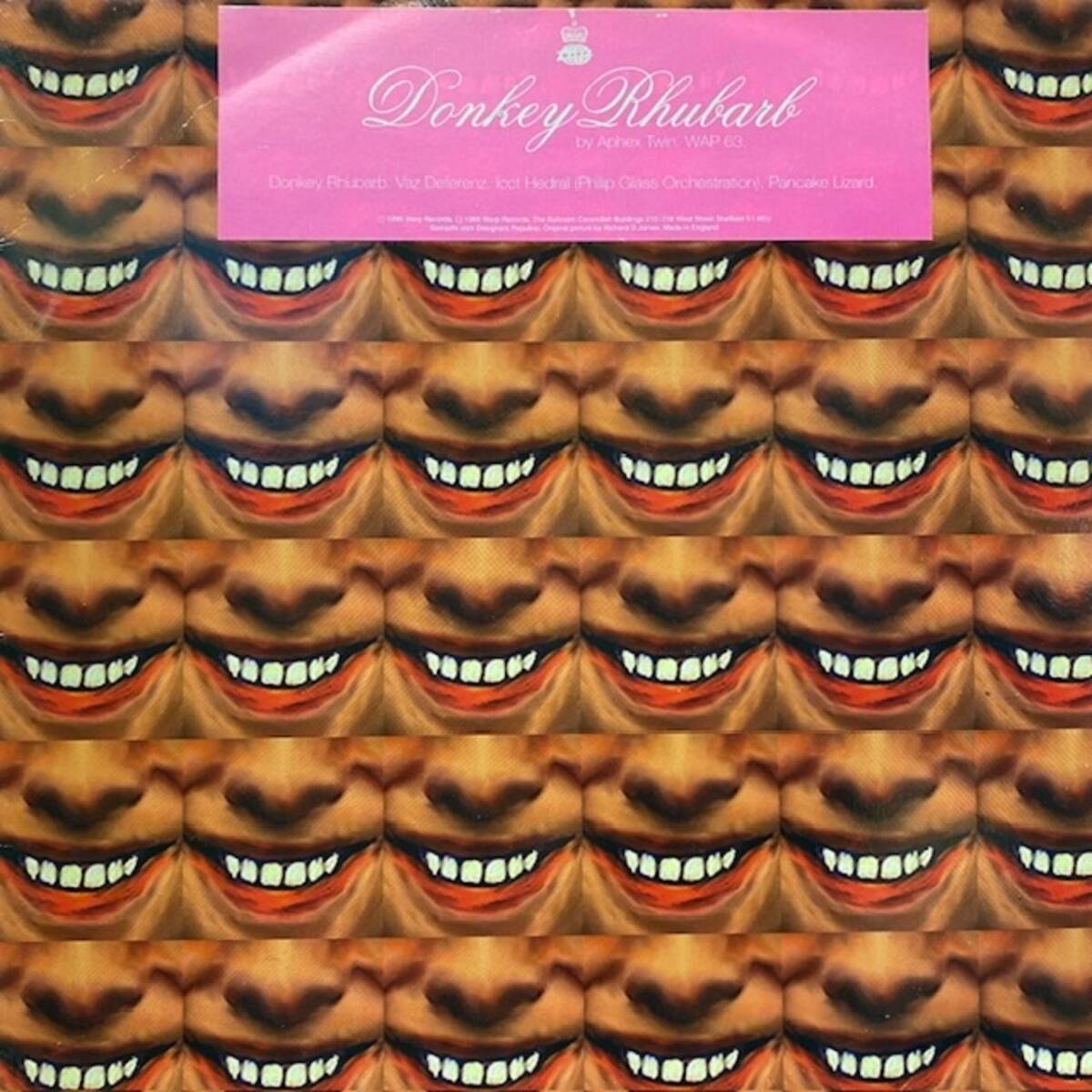 ★★値下出品★ Aphex Twin - Donkey Rhubarb(★盤面ほぼ良品!)   ★元値9800円★拍卖