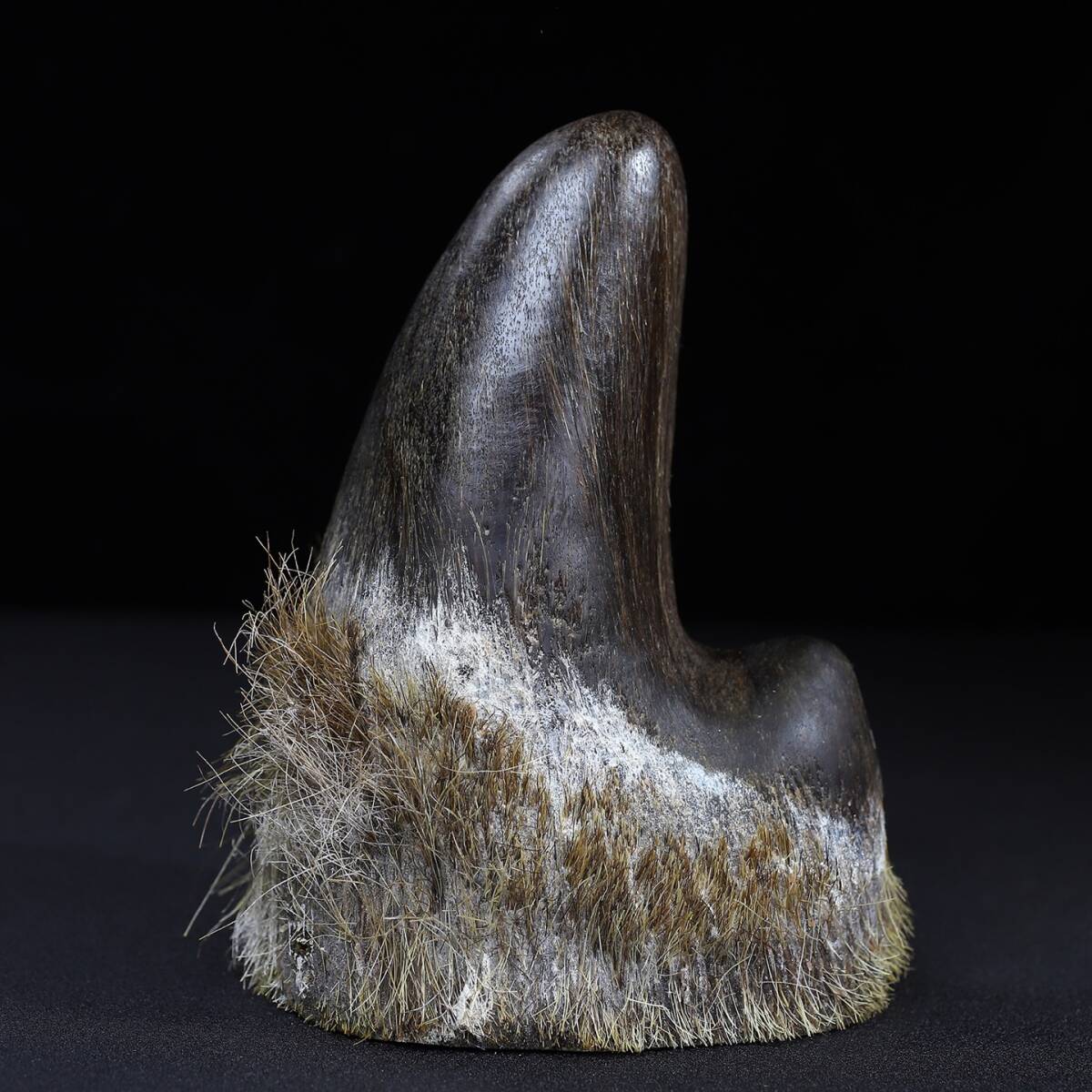 唐物 清 牛角 雙尖 置物 極細工 時代物 中国古玩 骨董品 古美味 古美術品 D64拍卖