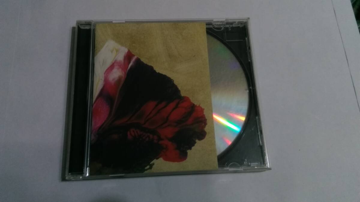 送料込 Z - 御壁☆Fixed As Meias Swipe There Is A Light That Never Goes Out Wall 拍卖