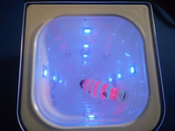 入れるだけで全方位蓄光★ルアー入れている間に、蓄光、光チャージ・タチウオ・太刀魚・サゴシ・サワラ。待機中でも蓄光拍卖