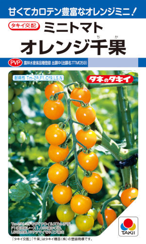 送料無料 オレンジ千果 ミニトマト 3粒拍卖