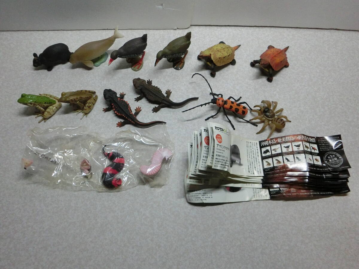★海洋堂 カプセルQミュージアム 2弾「沖縄奄美/やんばるの森」 全12種(組立済)とシークレット(ツチノコ 未開封品) 拍卖