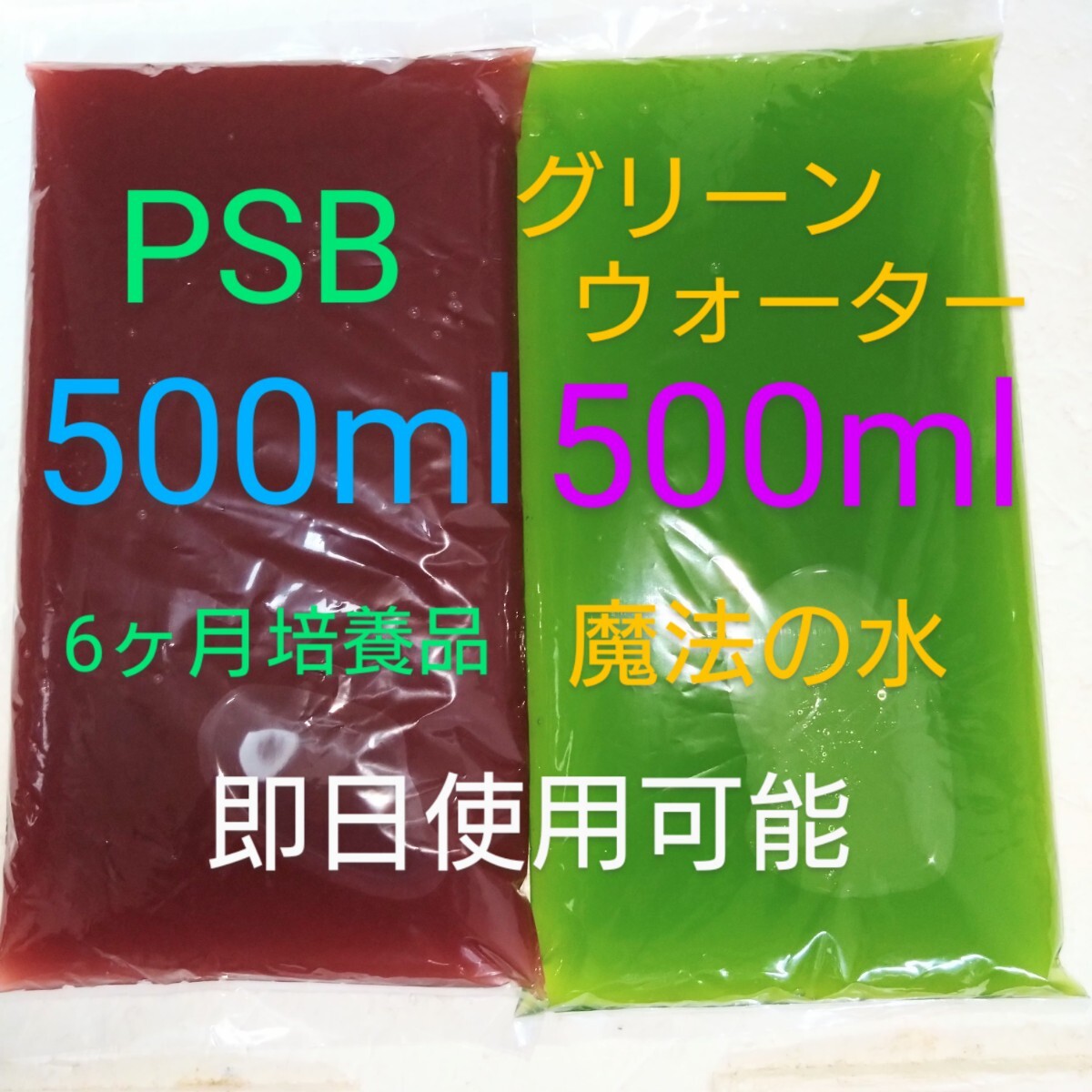グリーンウォーター 500ml 濃縮 PSB 500mlセット メダカ 金魚 錦鯉 針子 飼育水 ミジンコ エサ 水質浄化 バクテリア 即使用可 説明文付 木拍卖