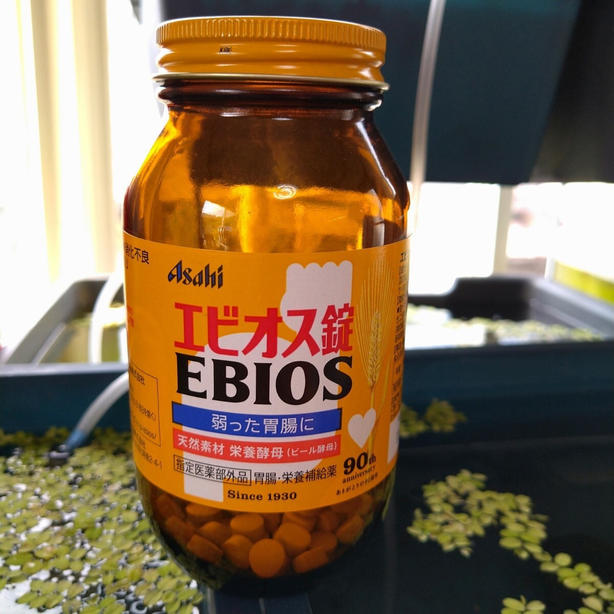 ビール酵母 培養不可欠 300錠 PSB ゾウリムシ 培養 増殖 ビーシュリンプ ヌマエビ メダカ のおやつ エビオス錠 医薬部外品 送料180円~ 土拍卖