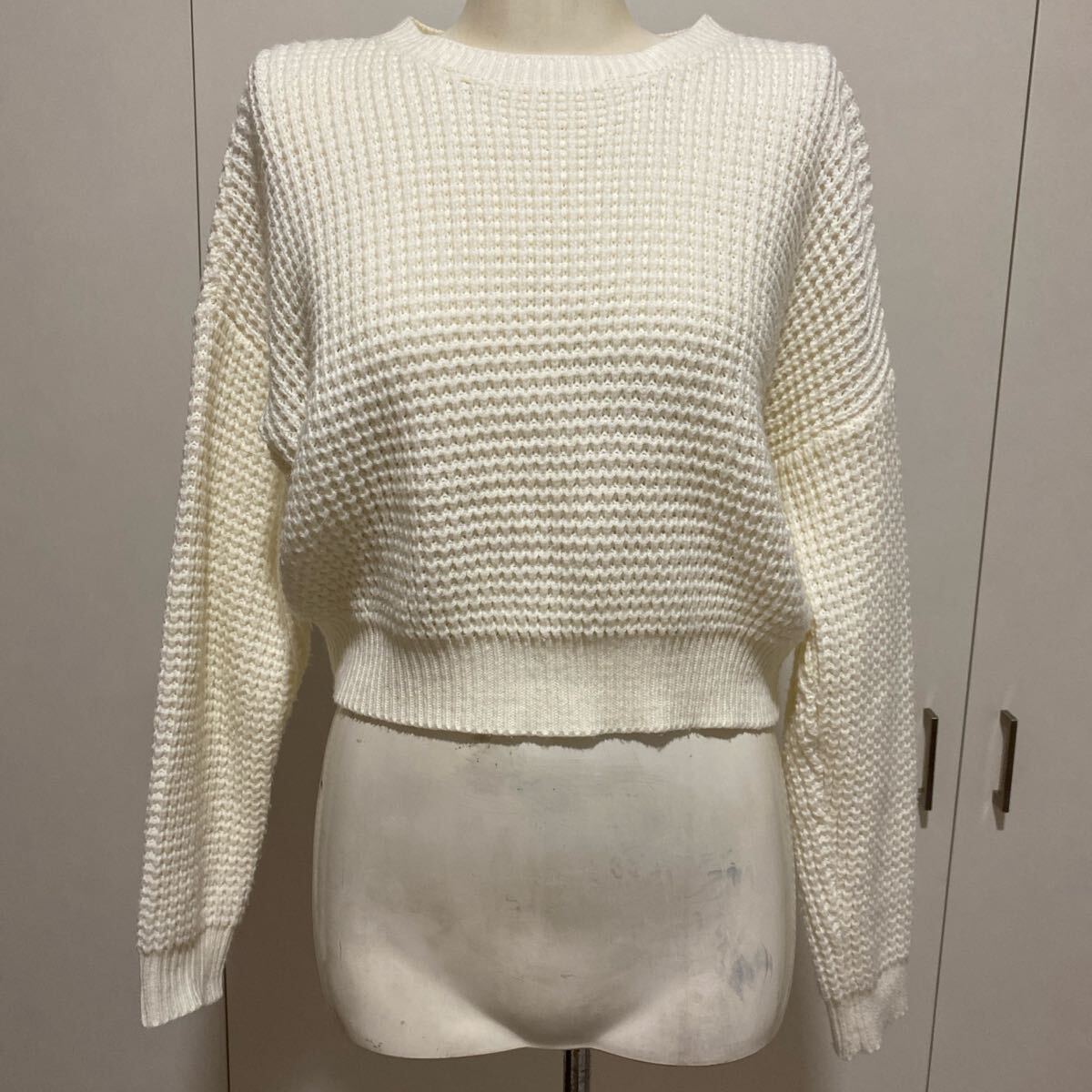 リエディギャルスター美品ショート丈クロップト丈ニットセーターホワイト拍卖