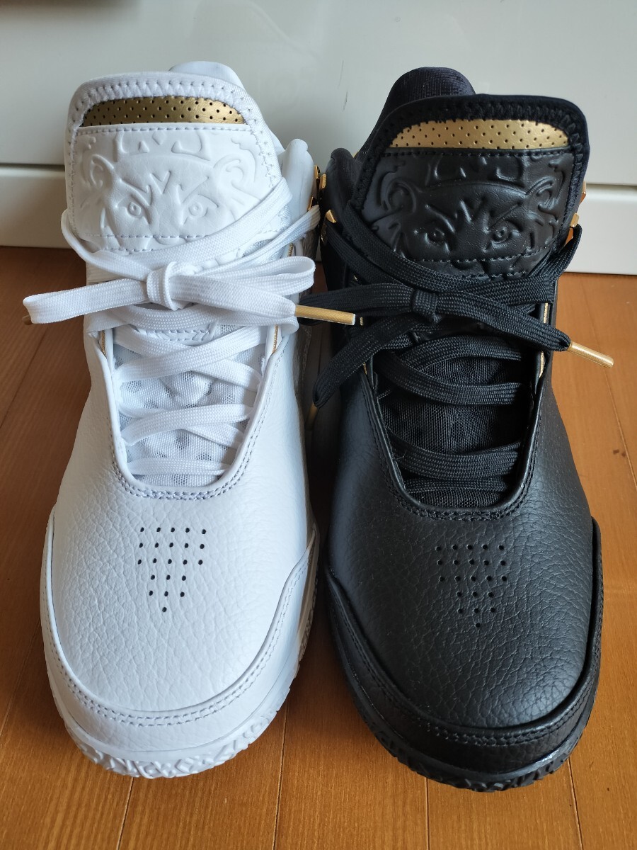 NIKE ZOOM LEBRON NXXT GEN EP 25.5 ナイキ拍卖