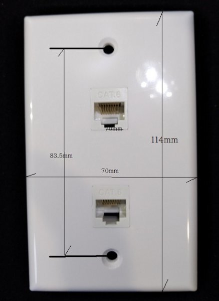 2ポート LAN壁埋め込みプレート CAT.6 rj45 LANモジュラージャック LANプラグコンセント 2ポート拍卖