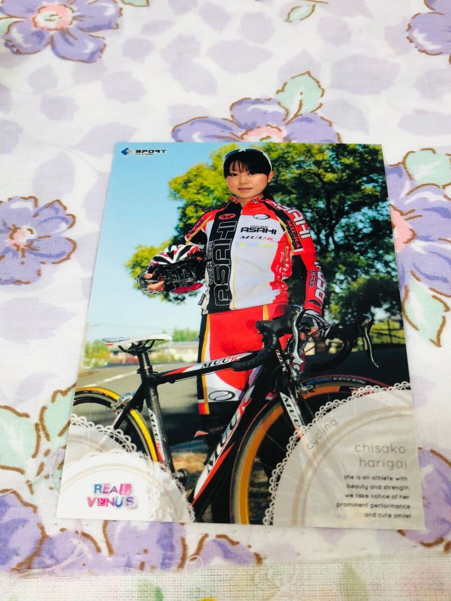 BBM カード 女性アスリート 針谷千紗子拍卖