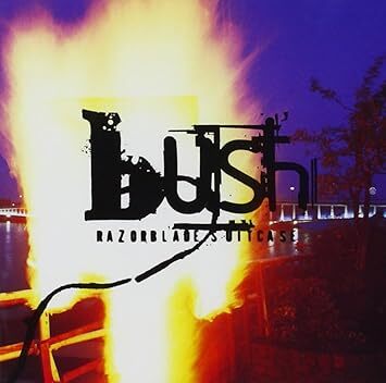 Razorblade Suitcase ブッシュ 輸入盤CD拍卖