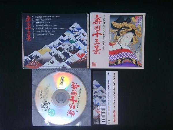 東京スカパラダイスオーケストラトリビュート集 楽園十三景 CD 東京スカパラダイスオーケストラ 即決 送料200円 429拍卖