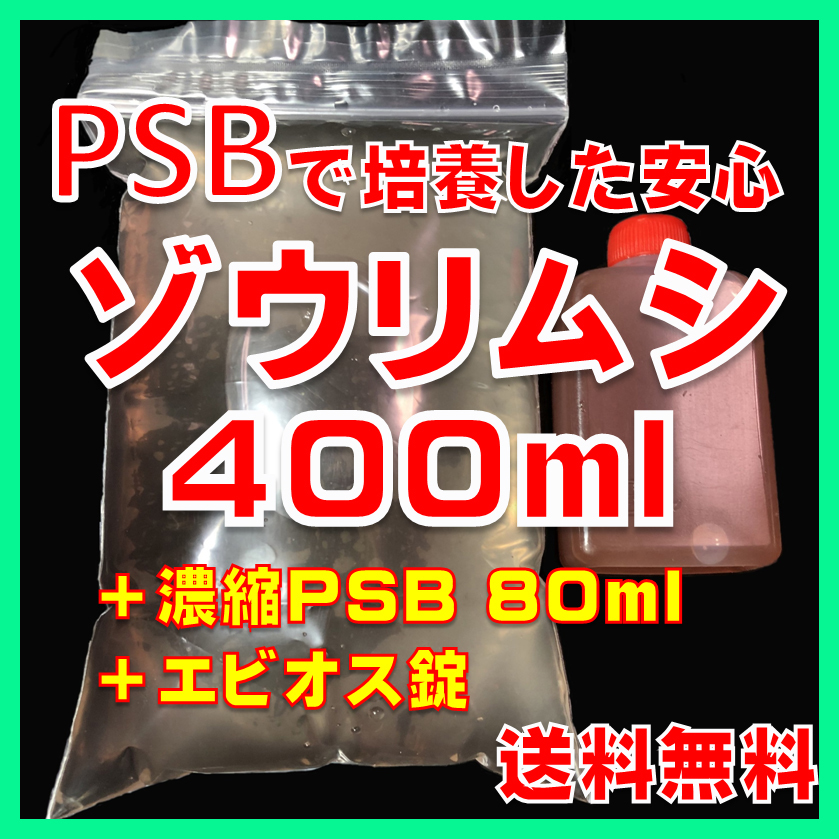 ★送料無料★PSBで培養したゾウリムシ種水400ml+濃縮PSB80ml+エビオス30錠+培養説明書 メダカの針子、稚魚、幼魚、越冬中にも安心。拍卖