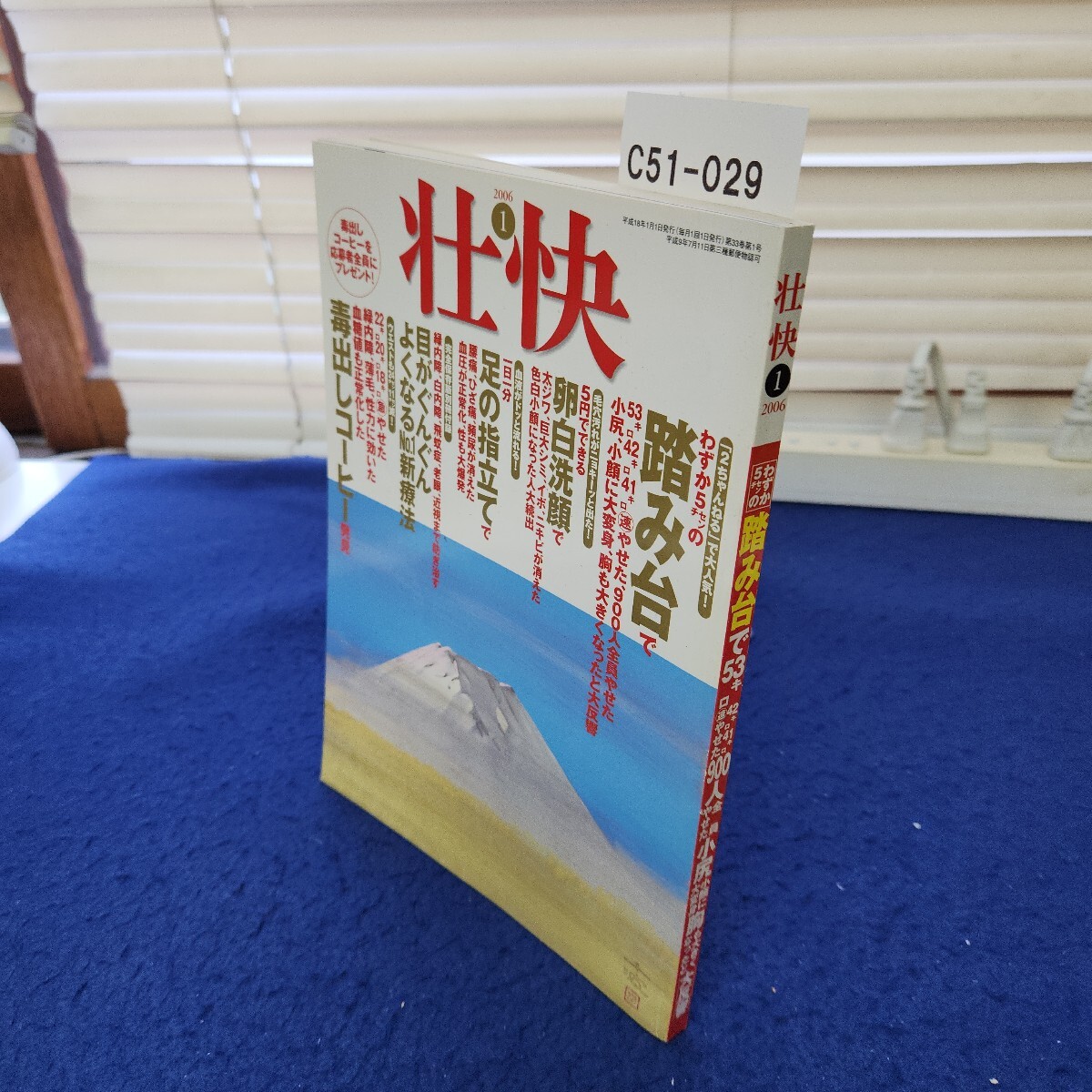 C51-029 壮快2006年1月号 拍卖