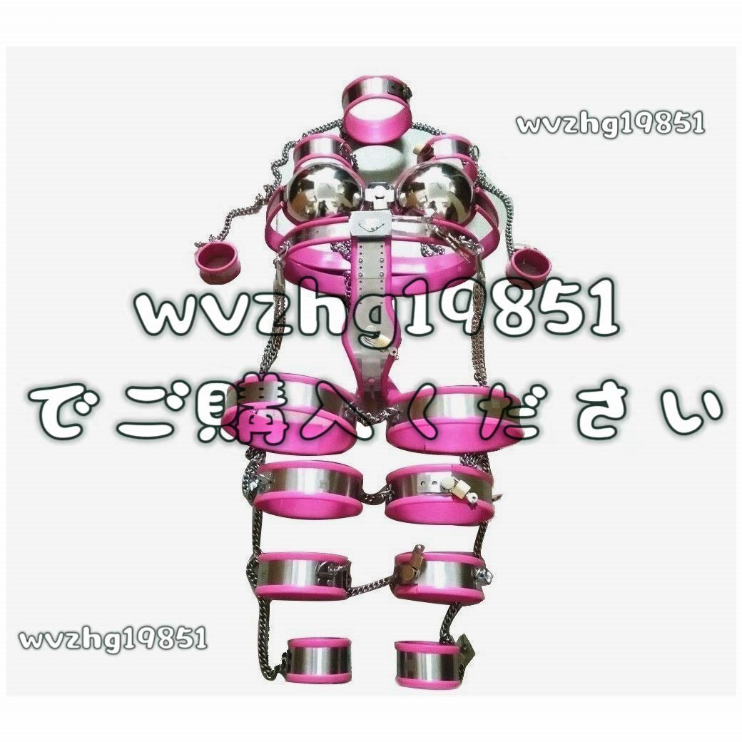 女性貞操帯9個/セット、ステンレス鋼貞操帯ブラジャーパンティー女性はSM拘束を着用 女性用貞操帯拍卖