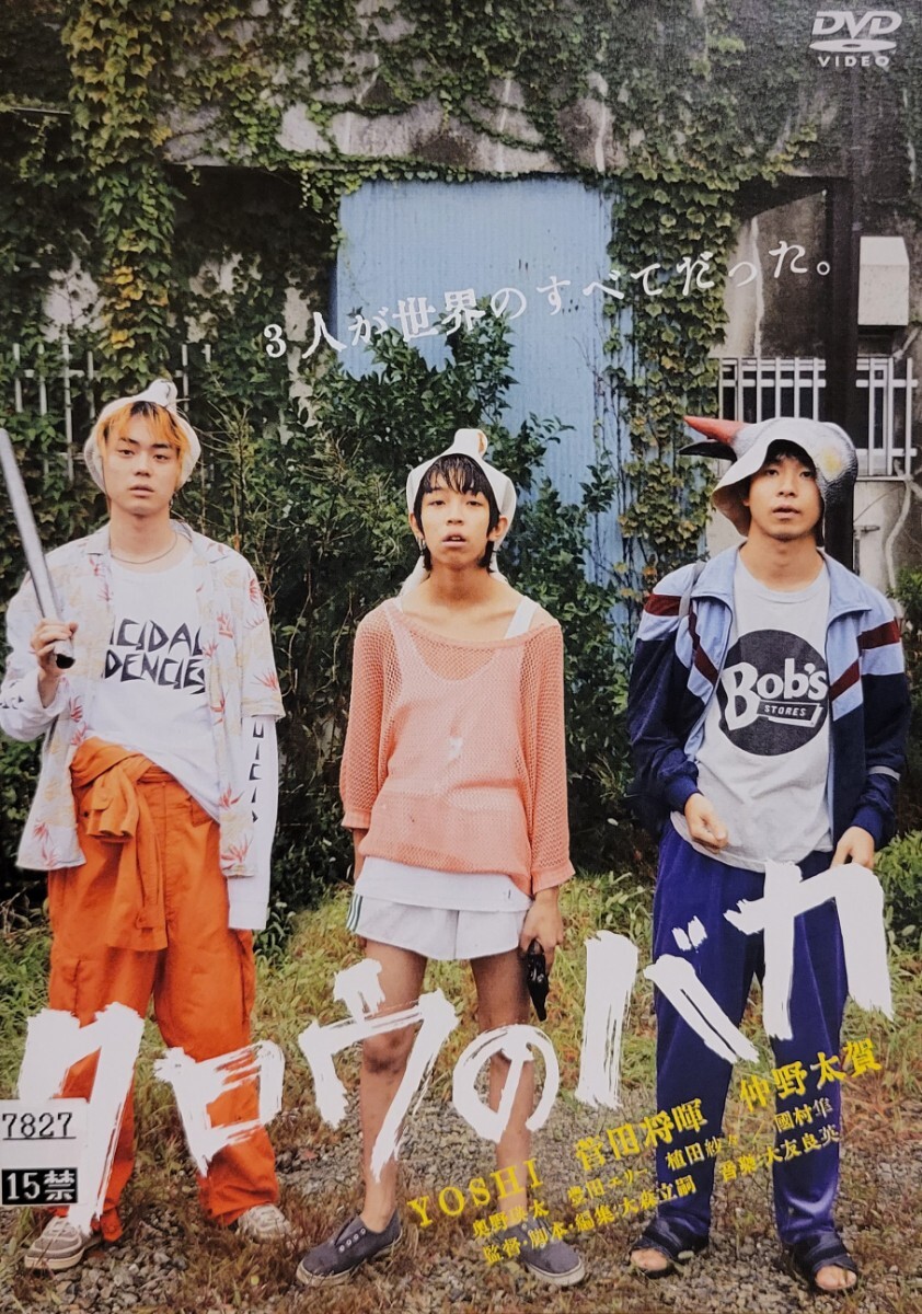 中古DVD タロウのバカ拍卖