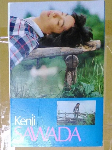 沢田研二にしきのあきら切り抜き2枚拍卖