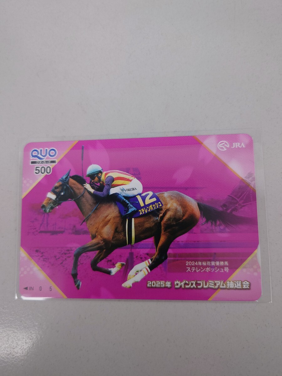 ステレンボッシュ 2025ウインズプレミアム抽選会 オリジナルQUOカード(500円分) オリジナルクオカード JRA拍卖