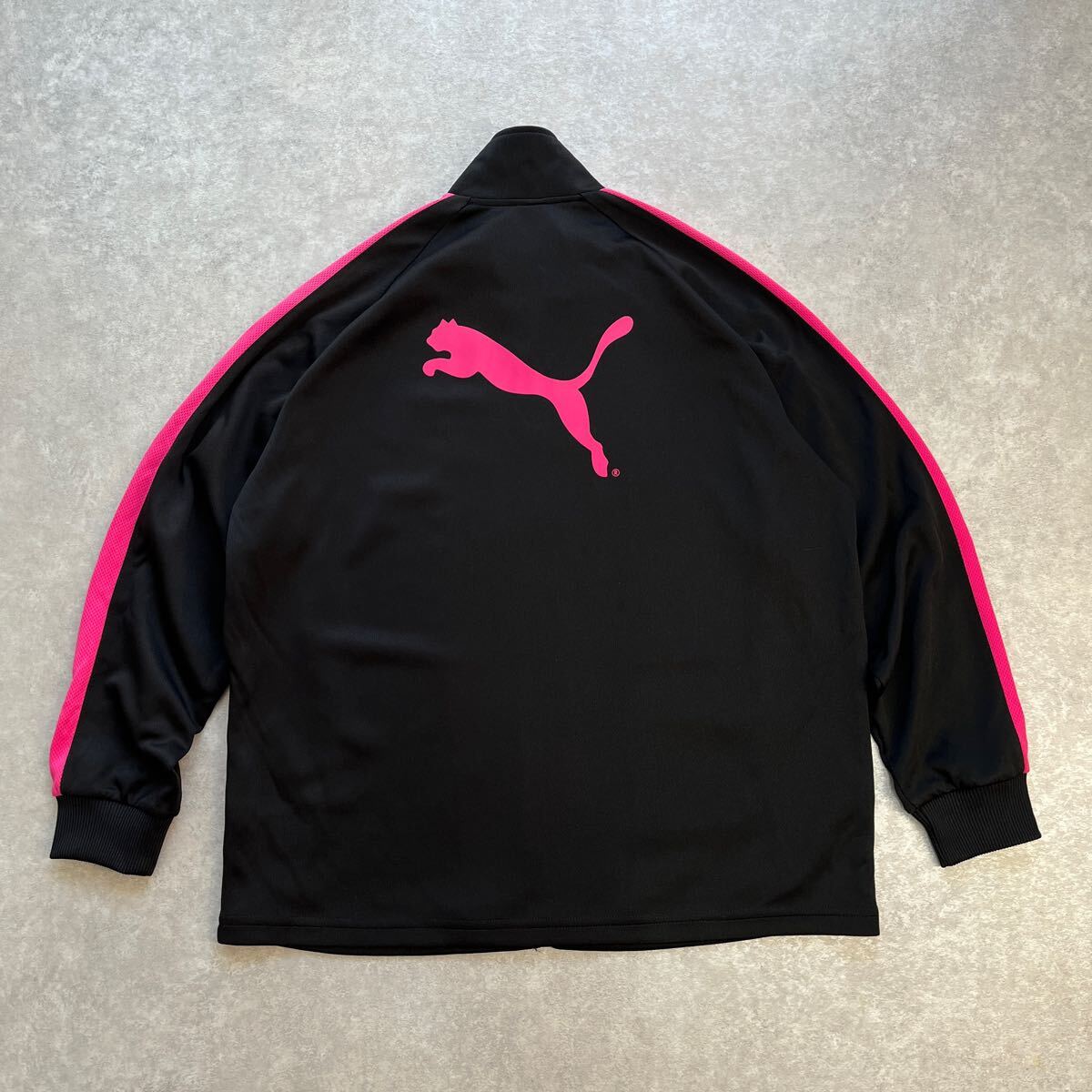 プーマ PUMA ジャージ(上) 150サイズ 女の子 バックプリント 刺繍ロゴ レディースにも拍卖