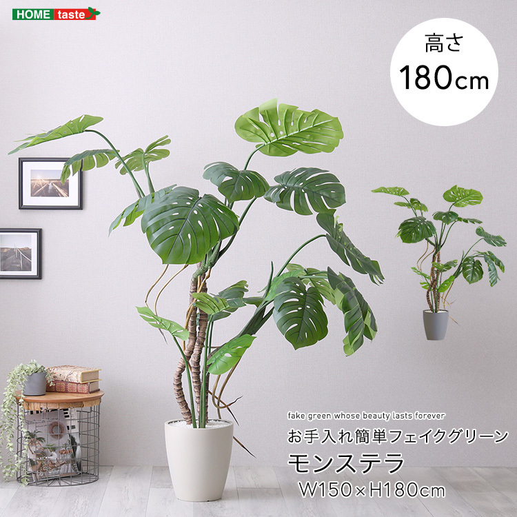 人工観葉植物 モンステラ Lサイズ(180cm) お手入れ簡単 リアル感 グリーン 手間いらず拍卖