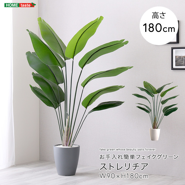 人工観葉植物 ストレリチア Lサイズ(180cm) お手入れ簡単 リアル感 グリーン 手間いらず拍卖