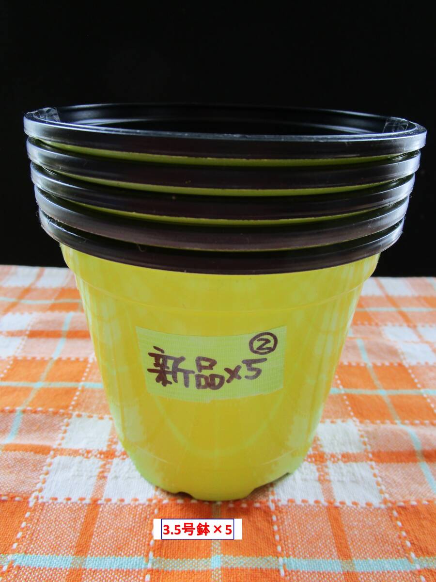 【新品】【黄緑色3.5号鉢②】フラワーポット(ポリプロピレン樹脂製)/5個.拍卖