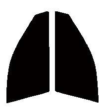 GY-30IR 運転席・助手席 カムリ ACV30・ACV35 カット済みカーフィルム拍卖