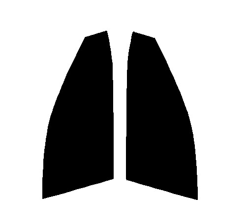 スパッタシルバー15 運転席・助手席 トヨタ カムリ ハイブリッド AXVH70 カット済みカーフィルム拍卖