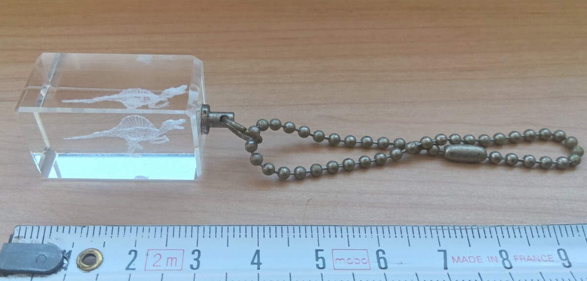 恐竜アクセサリー 送料無料 ゆうパケットポストmini ジャンク拍卖