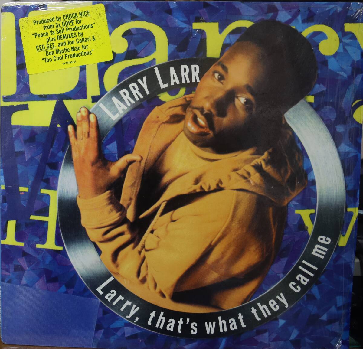 【廃盤12inch】Larry Larr / Larry, That's What They Call Me拍卖
