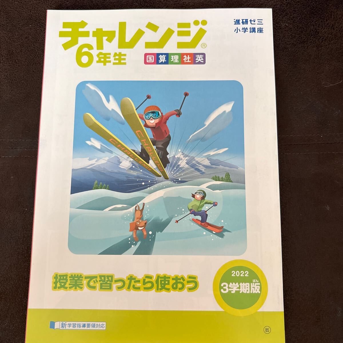 進研ゼミ チャレンジ 6年生 三学期の予習復習に 答え付き 自主勉強拍卖