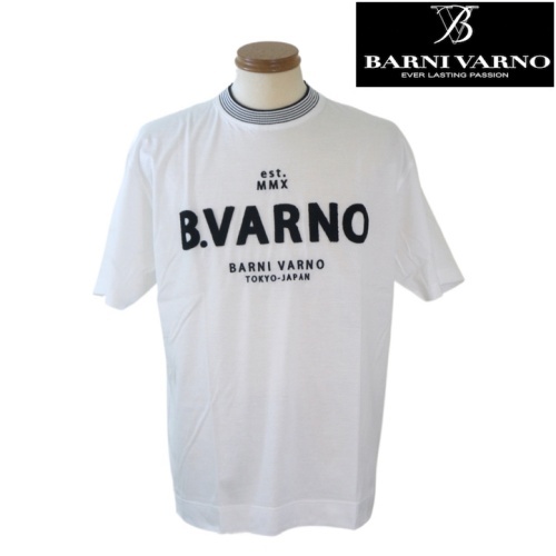 【春夏SALE】バーニヴァーノ/BARNIVARNO サガラ刺繍半袖Tシャツ Lサイズ 037-白拍卖