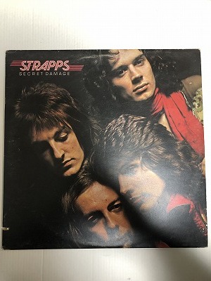 STRAPPAS LP シークレットダメージ 1枚組 同梱可能 ジャケット傷あり拍卖