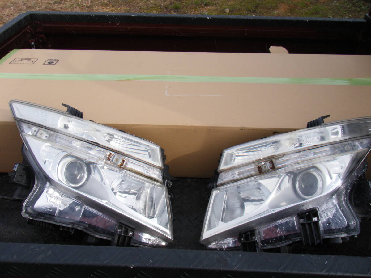 ニッサン エルグランド ヘッドライト TL3拍卖