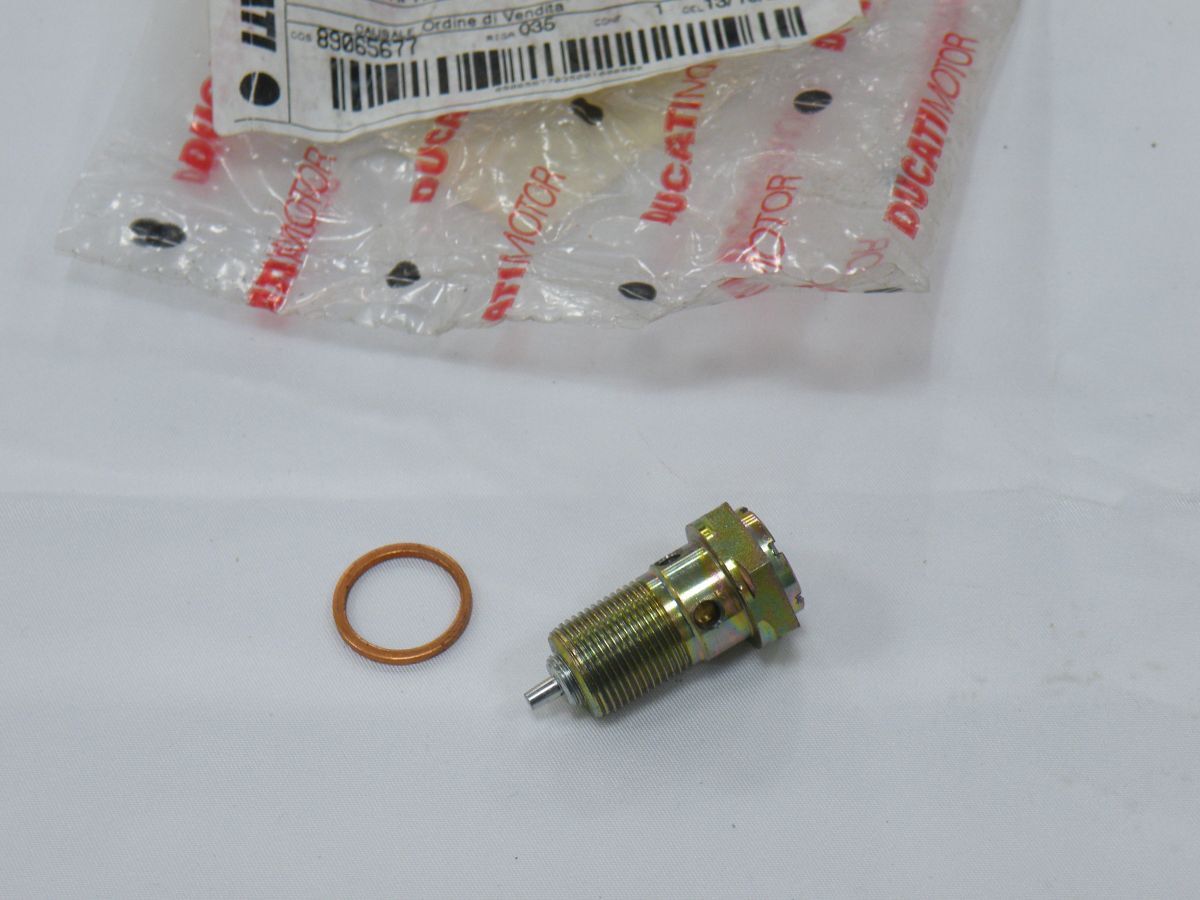 送料無料! 未使用 34920101A ドゥカティ DUCATI M400 M900 999R 998 純正 サスペンション SCREW 1個入り RHA0043拍卖