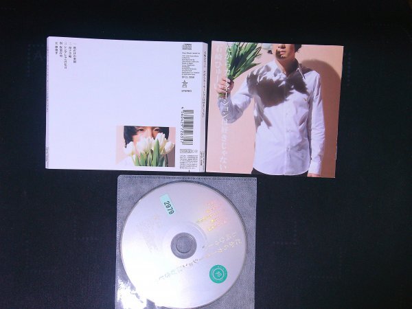 だからカーネーションは好きじゃない 石崎ひゅーい CD 即決 送料200円 416拍卖