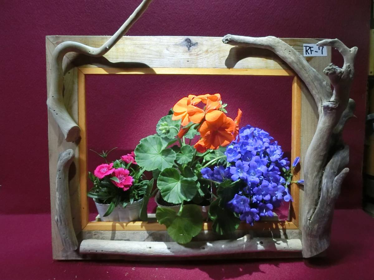 夢道園の手作り流木製鉢花、観葉植物用額縁■鉢花■盆栽■観葉植物■RF-7拍卖