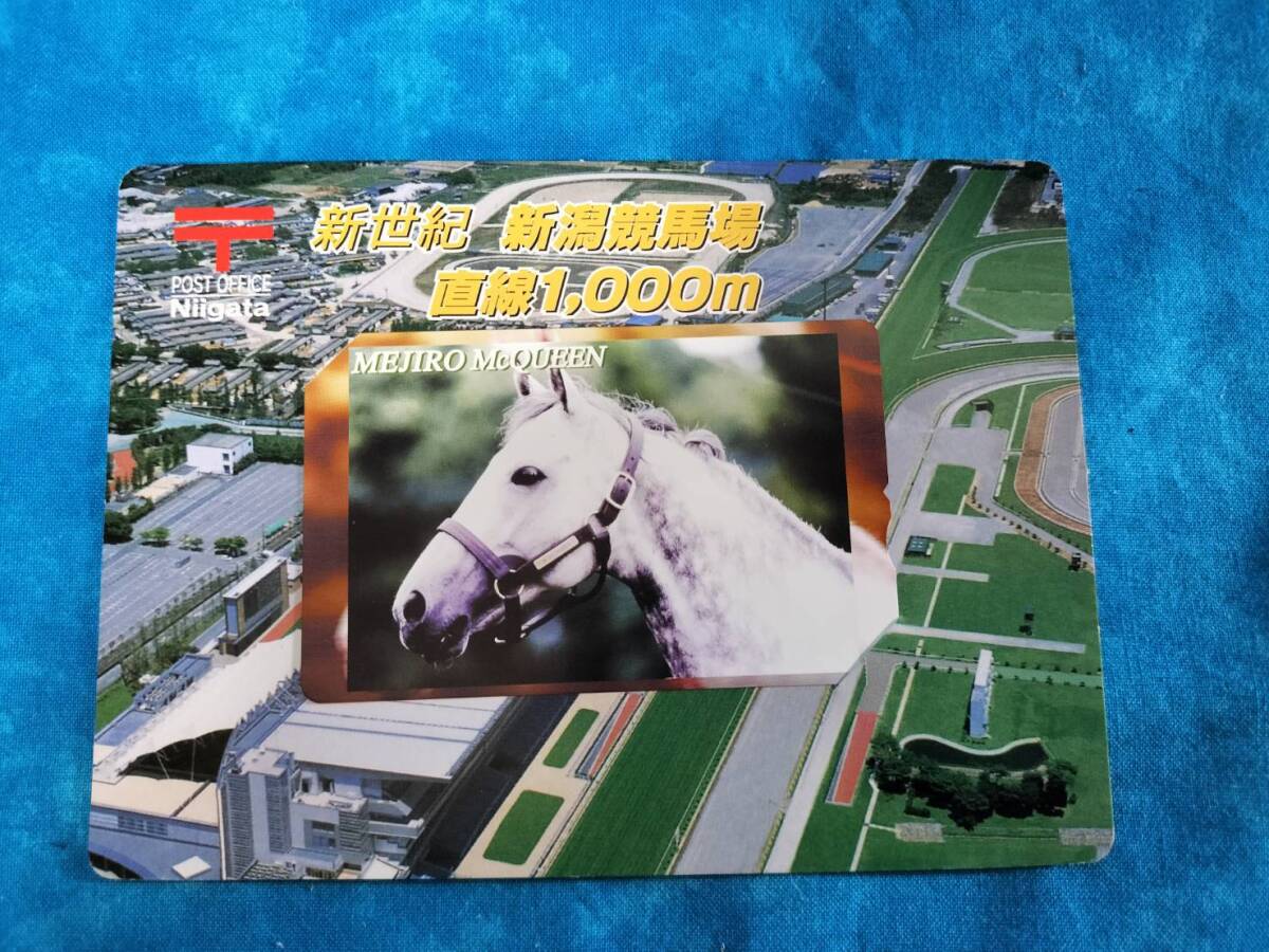④2-日本郵政《新世紀・新潟競馬場直線1000m・メジロマックイーン》ふみカード・未使用品拍卖